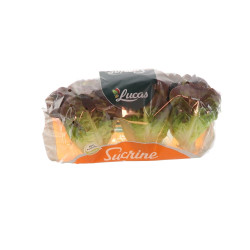 SALADE SUCRINE RAVIER 12X3PCS